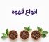 گونه‌های قهوه چیستند؟ تفاوت عربیکا و روبوستا