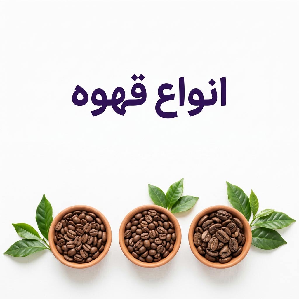 گونه‌های قهوه چیستند؟ تفاوت عربیکا و روبوستا